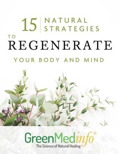 15 Natural Strategies to Regenerate you Body and Mind ebook