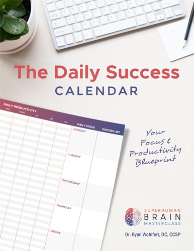 The Daily Success Calendar cover