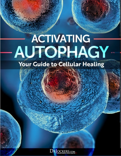 Image Activating Autophagy Gift