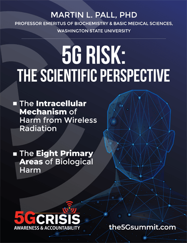 image "5G Risk: The Scientific Perspective" eBook