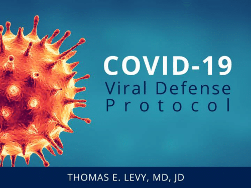 image "Covid-19 Viral Defense Protocol" presentation